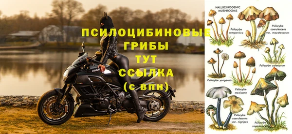 ALPHA-PVP Белокуриха