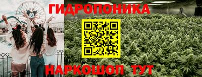 трава Канаш