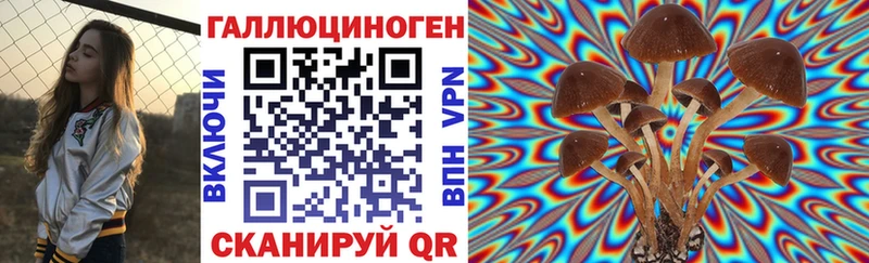 blacksprut tor  Кушва  Галлюциногенные грибы GOLDEN TEACHER 