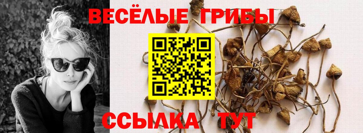 Галлюциногенные грибы MAGIC MUSHROOMS  Вход с VPN  Кушва 