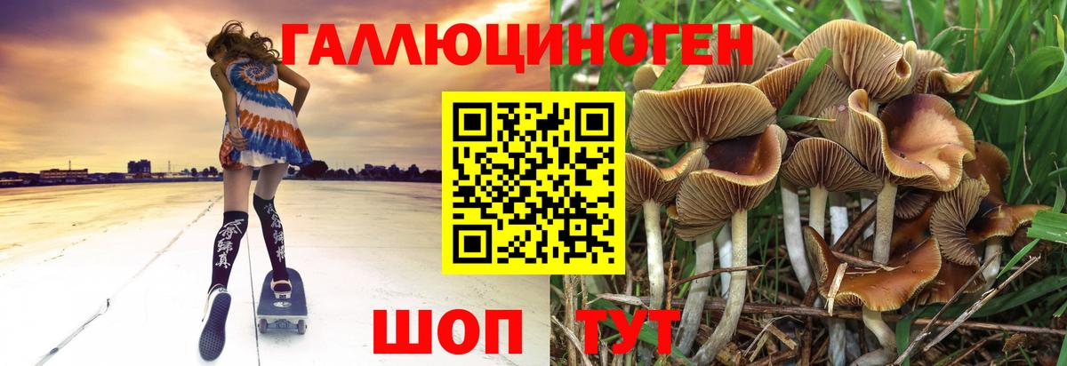 Галлюциногенные грибы GOLDEN TEACHER Кушва